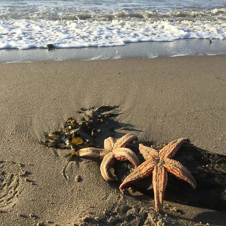 Rosenvold Strand Camping Kemping