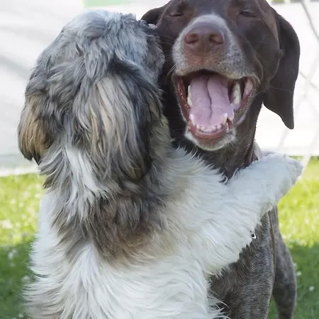 Rosenvold Strand Camping *
